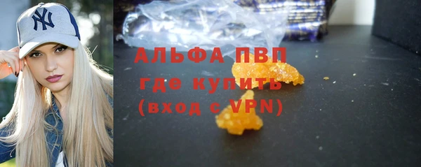 стафф Бердск