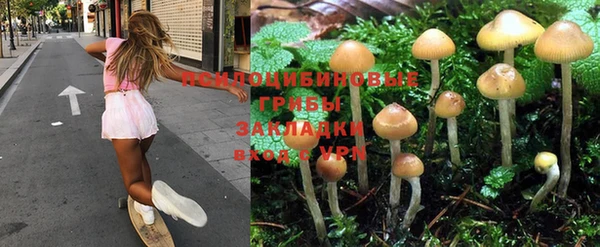 МДПВ Инсар