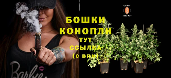 спиды Иннополис